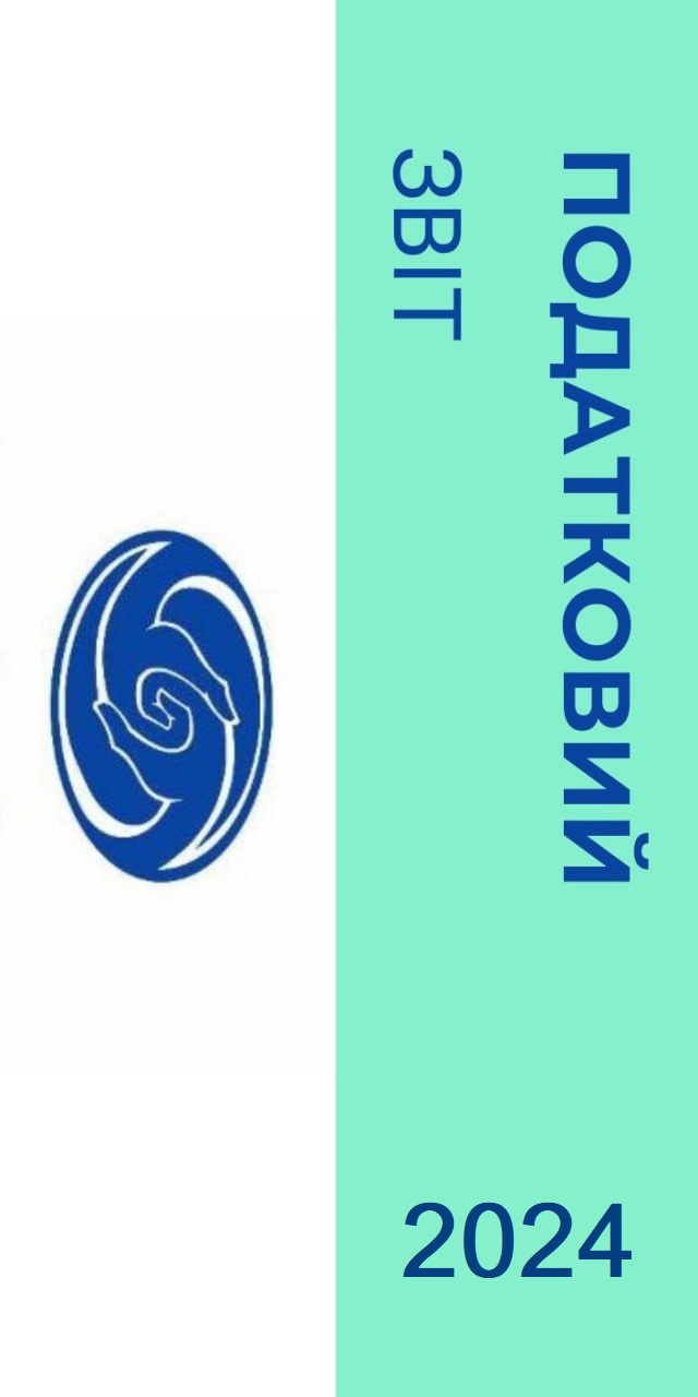 податковий звіт за 2024 рік